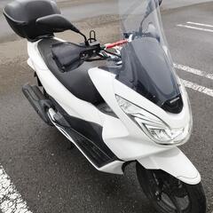 ホンダ!　PCX!　JF56型!　札幌の画像