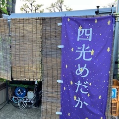 9月2日　四光めだか　めだか無人販売　横須賀市長井