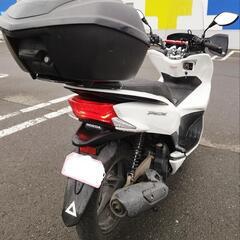 ホンダ!　PCX!　JF56型!　札幌の画像