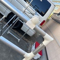 今日引き取りできる方の画像