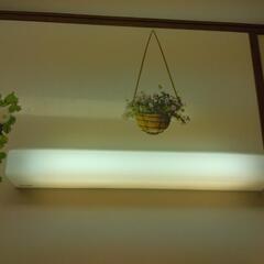 照明器具の画像