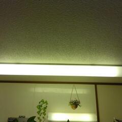照明器具の画像