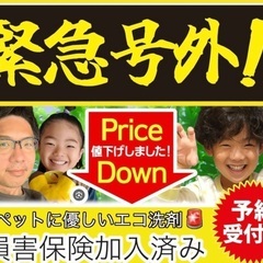 9月限定！時間外も対応OK！✨ペットや赤ちゃん安心エコ洗剤…