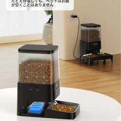 ペット 自動給餌器の画像
