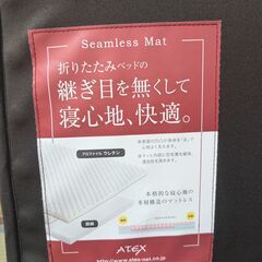 電動ベッドシングル ATEX アテックス 収納式ベッド ※配送の場合要送料負担の画像