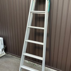 ハシゴ兼用脚立の画像