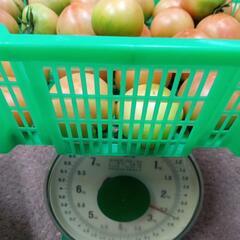 理由あり小玉トマト🍅　2.5kgの画像