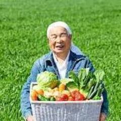 全員　集合　畑　野菜作り 畑あります。