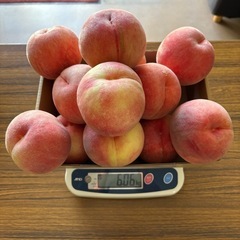 柔らかい白桃30秒詰め放題の画像