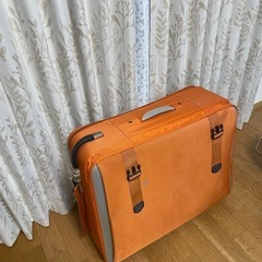 キャリーバック の画像