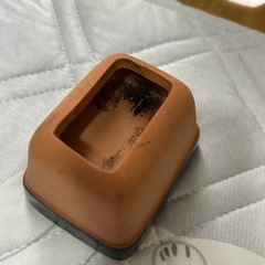爬虫類　ウエットシェルターの画像