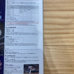 西武株主優待　内野指定席引換券2025 の画像