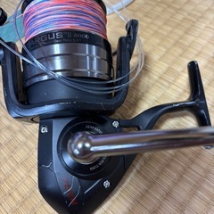 Penn SARGAS 8000の画像