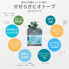 日曜まで７千円！！せせらぎビオトープ🩷ྀི濾過装置  の画像