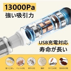 ハンディクリーナー usb-cタイプ
の画像