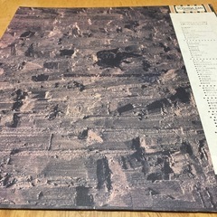 アリス　LPレコード　アリスⅥの画像