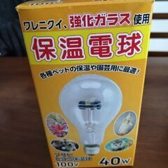 オカメインコ用のごはん、オヤツなどの画像