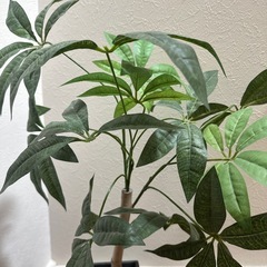 造花観葉植物の画像