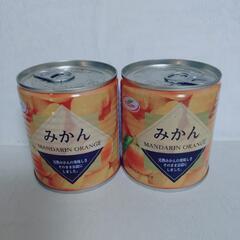 カップ麺 みかん缶 緑茶の画像