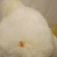 0902-129 【無料】 くま　ぬいぐるみ　白の画像