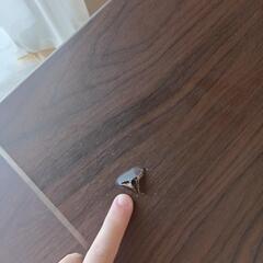 無料テーブル椅子の画像