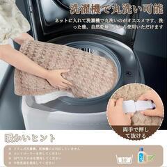新品 電気毛布 160×100cm 電気ひざ掛け 掛け 敷き 10段階温度調整 防寒の画像