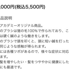 【お得】健康鍼灸ブラシの画像