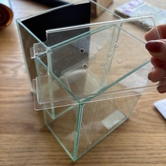 ベタの水槽の画像