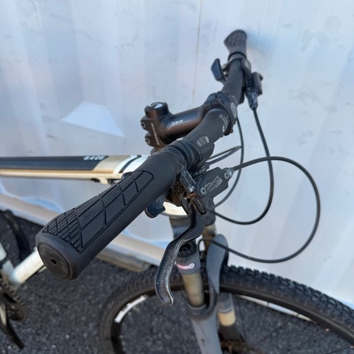 クロスバイク Dual Sport 8.4 身長165-175cm 定価13万円