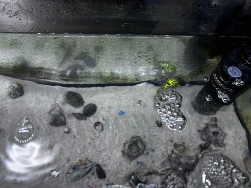 海水魚と150l水槽