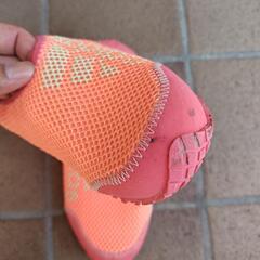 adidas　アクアシューズの画像