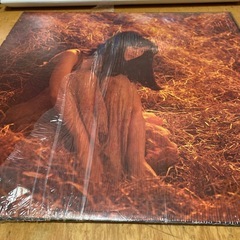 中島みゆき　LPレコード　生きていてもいいですかの画像