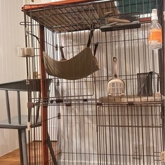 キャットケージの画像