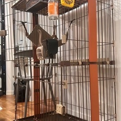 キャットケージの画像