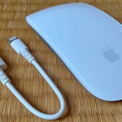 【配送可】美品 Apple Mac 純正 マジックマウス 2  ワイヤレスマウス A1657の画像