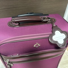 キャリーケース 機内持ち込み可能サイズの画像