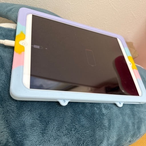 iPad iPad