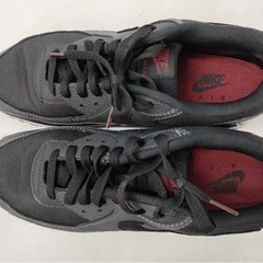 NIKE ナイキ AIR MAX  2022年 90 DQ4071-001 スニーカー　 29cm  の画像