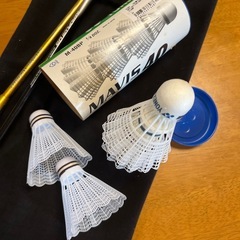 バドミントンセット
の画像
