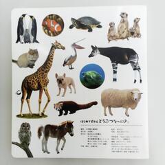9-022-3　子供　本#10418の画像