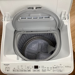 SHARP ES-TX-6G-S 6.5kg 2023年製 のご紹介‼︎の画像