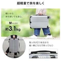 スーツケース65Lサイズシルバー色の画像