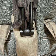 エアバギーココダブルの画像