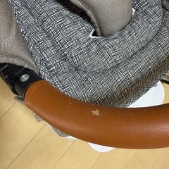 エアバギーココダブルの画像
