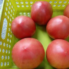 トマト🍅　8玉の画像