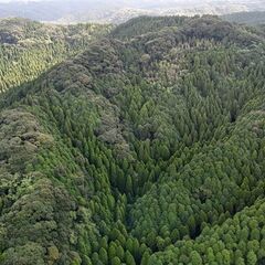 山林物件287　鹿児島県日置市吹上町