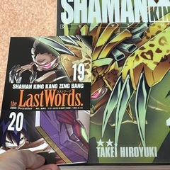 【半額以下】シャーマンキング完全版 1〜20巻の画像