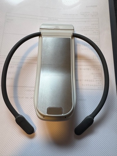 ソニー REON POCKET PRO