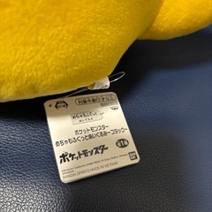 新品未使用　コダック　ポケモン
の画像