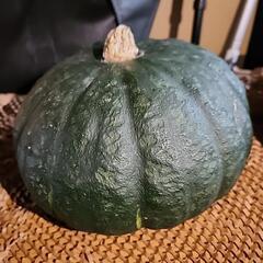 カボチャ　中くらいの画像